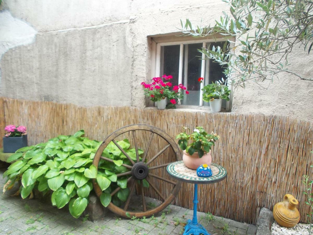 Ferienwohnungen Pension Aurora Kappel-Grafenhausen Bagian luar foto