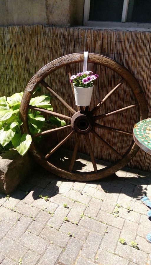 Ferienwohnungen Pension Aurora Kappel-Grafenhausen Bagian luar foto