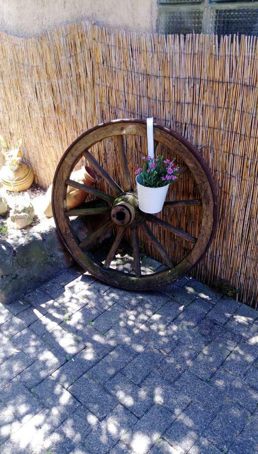 Ferienwohnungen Pension Aurora Kappel-Grafenhausen Bagian luar foto